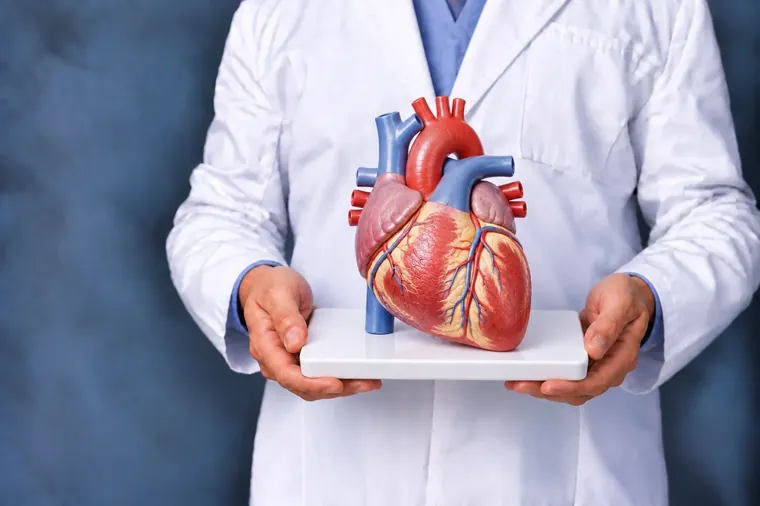 Cardiologie