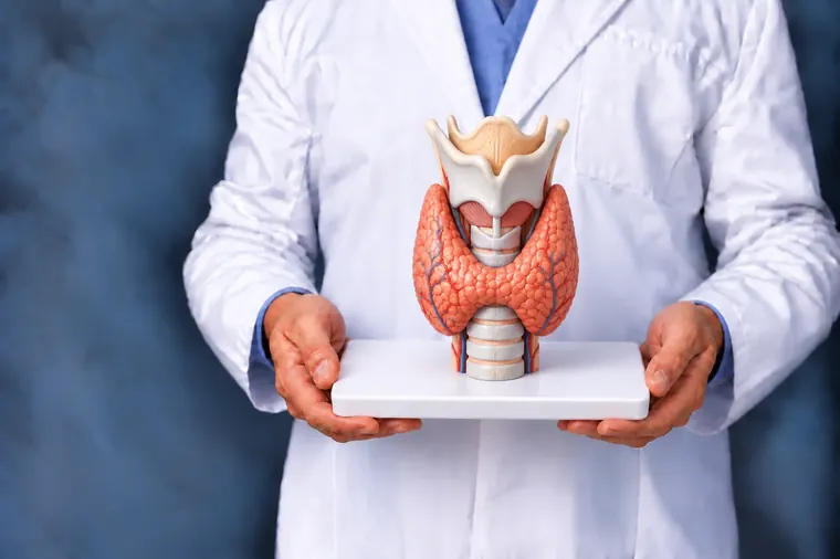 Endocrinologue